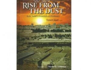 Rise from the Dust a book by Tzvi Glatt