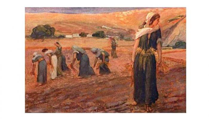 (IMAGE: 'Ruth Gleaning' by the famous French painter James Tissot, 1896. Tissot visited Jerusalem for inspiration.) 